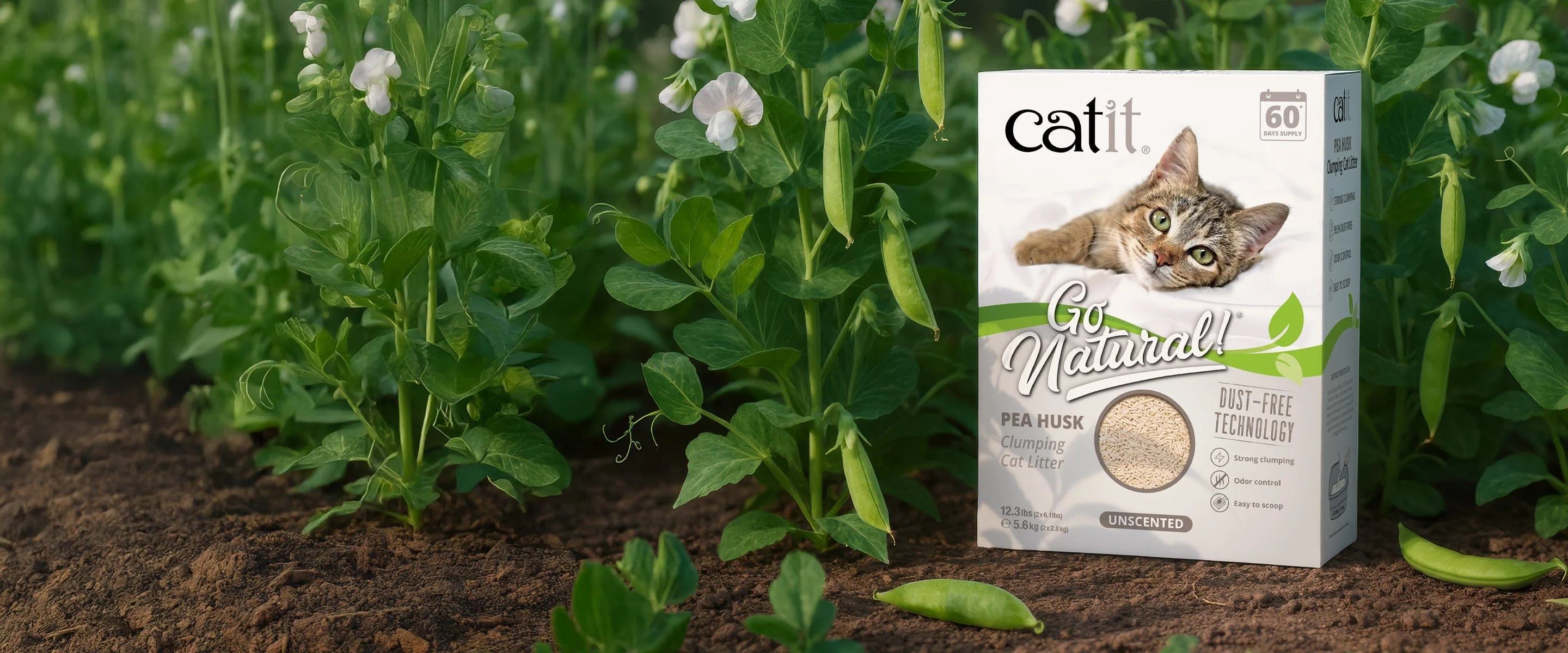 Welcome to Our Store