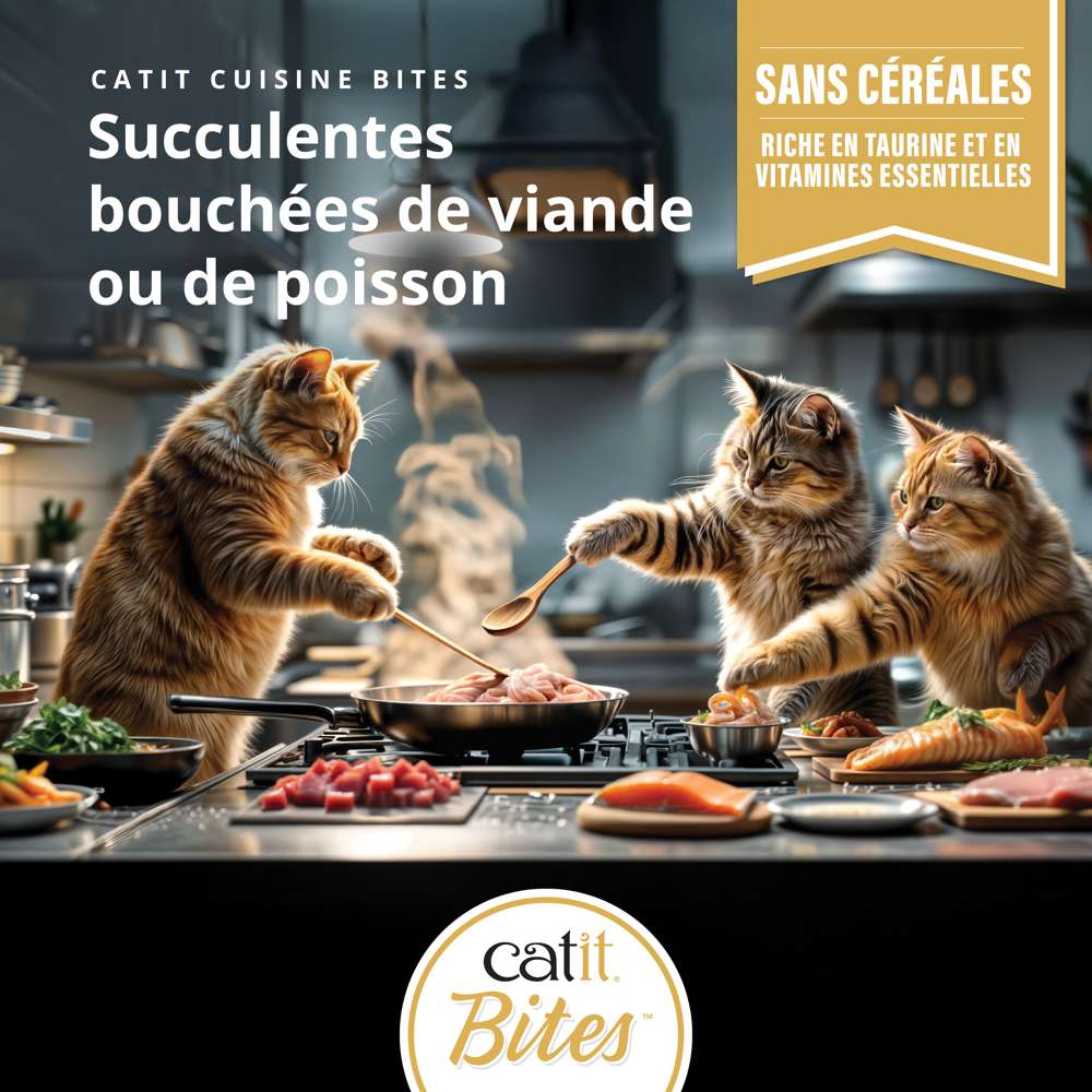 Bouchées pour chat - 75g - Catit Cuisine - Image 5