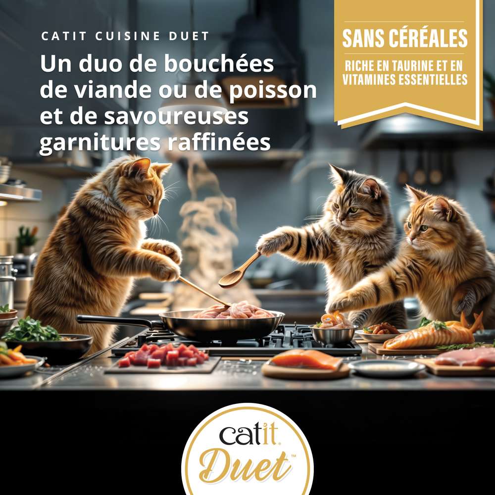 Bouchées avec garniture pour chat - 75g - Catit Cuisine - Image 6