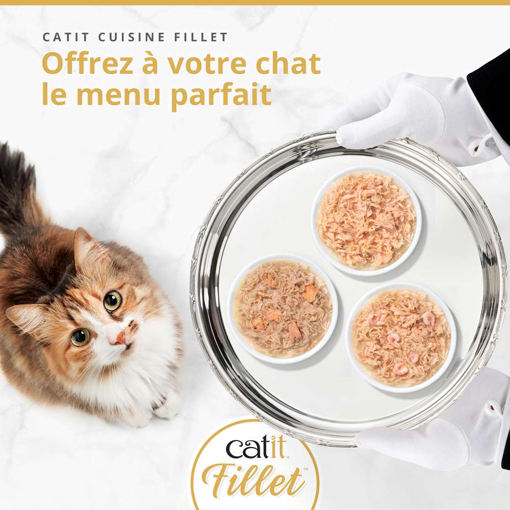 Multipack Filets pour chat - 12 x 75g - Catit Cuisine - Image 5