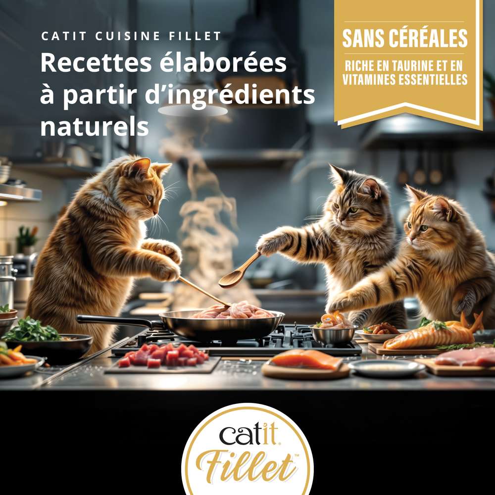 Filet de poulet pour chat - 75g - Catit Cuisine - Image 5