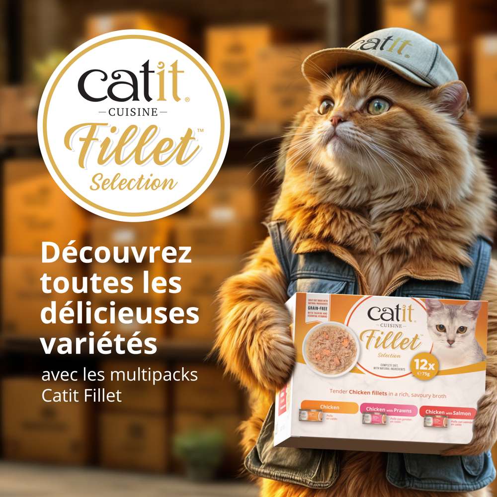 Filet de poulet pour chat - 75g - Catit Cuisine - Image 8