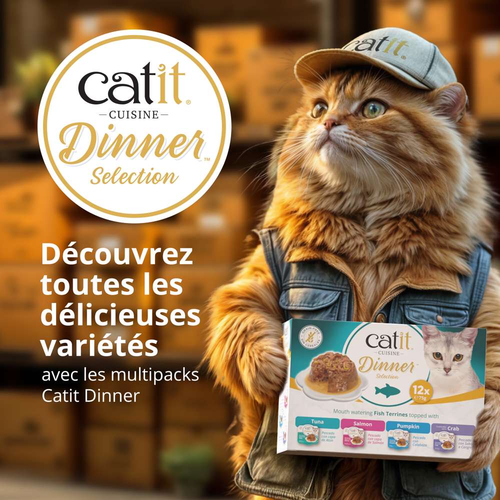 Terrine de poisson pour chat - 75g - Catit Cuisine Dinner - Image 7