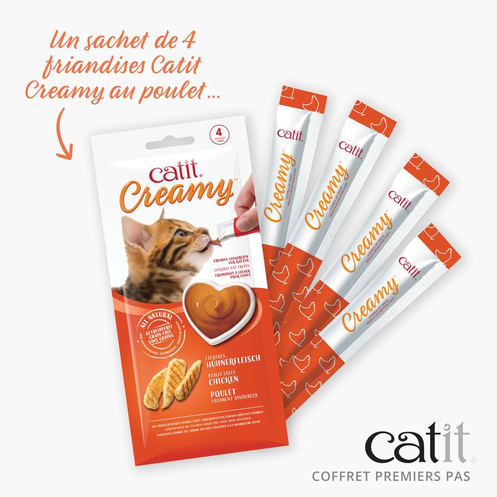 Kitten Starter Box - Catit - Image 6